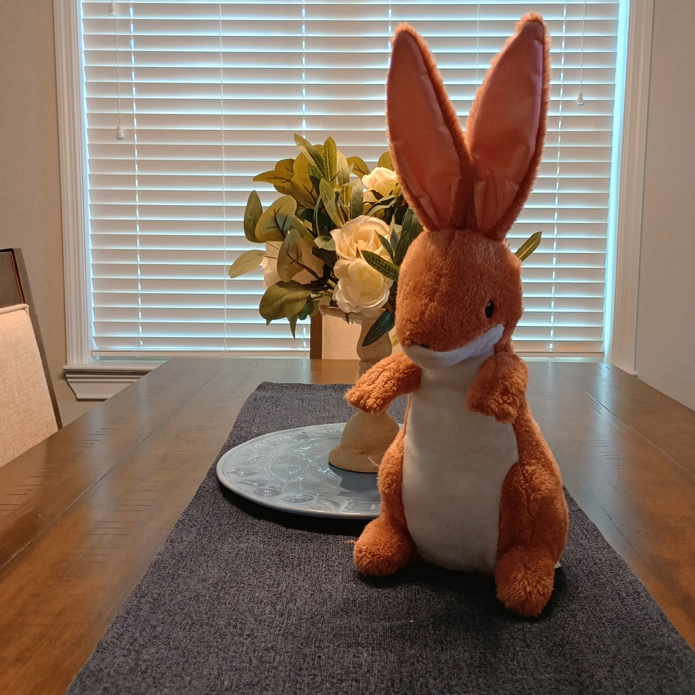 "I'll Always Be Your Bunny" Plush Bunny with Cream Belly (Bundle 3 For 15)